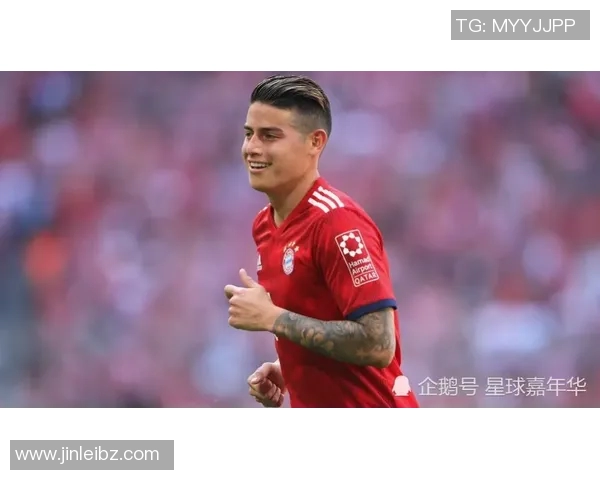 哈夏特尔的哈因：德甲赛场上的闪耀之星